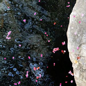 亚洲乱伦电影了
