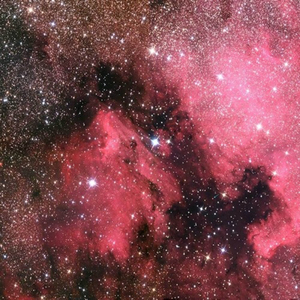 亚洲乱伦电影了
